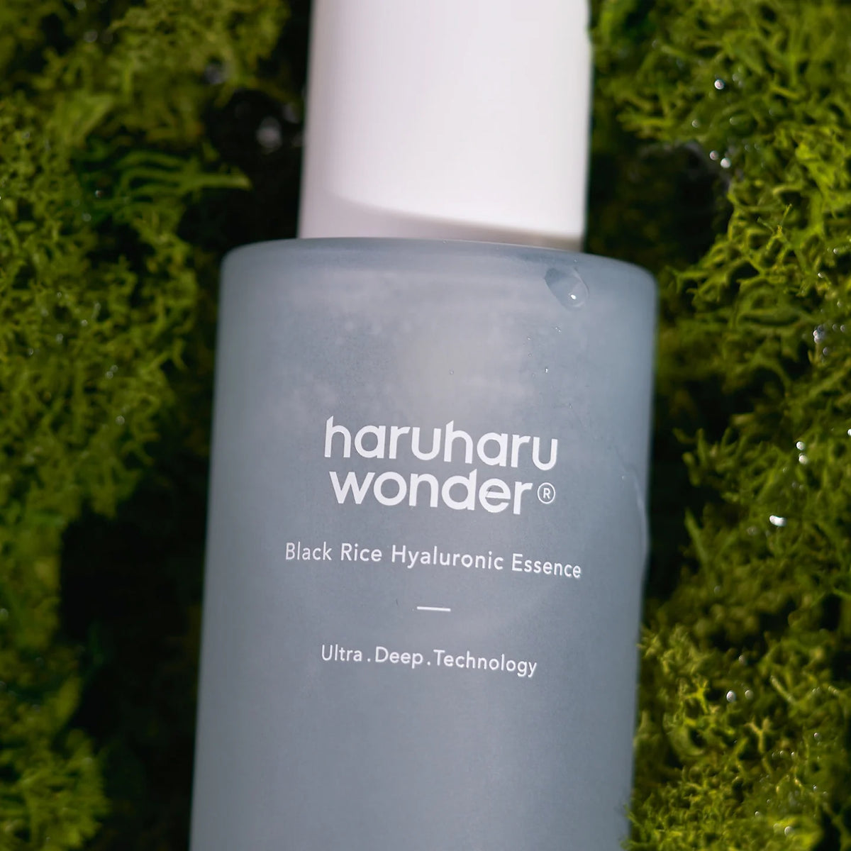 化粧水・ローション・トナー HARU 化粧水・ローション・トナー haru 化粧水・ローション・トナー HARU 化粧水・ローション・トナー haru