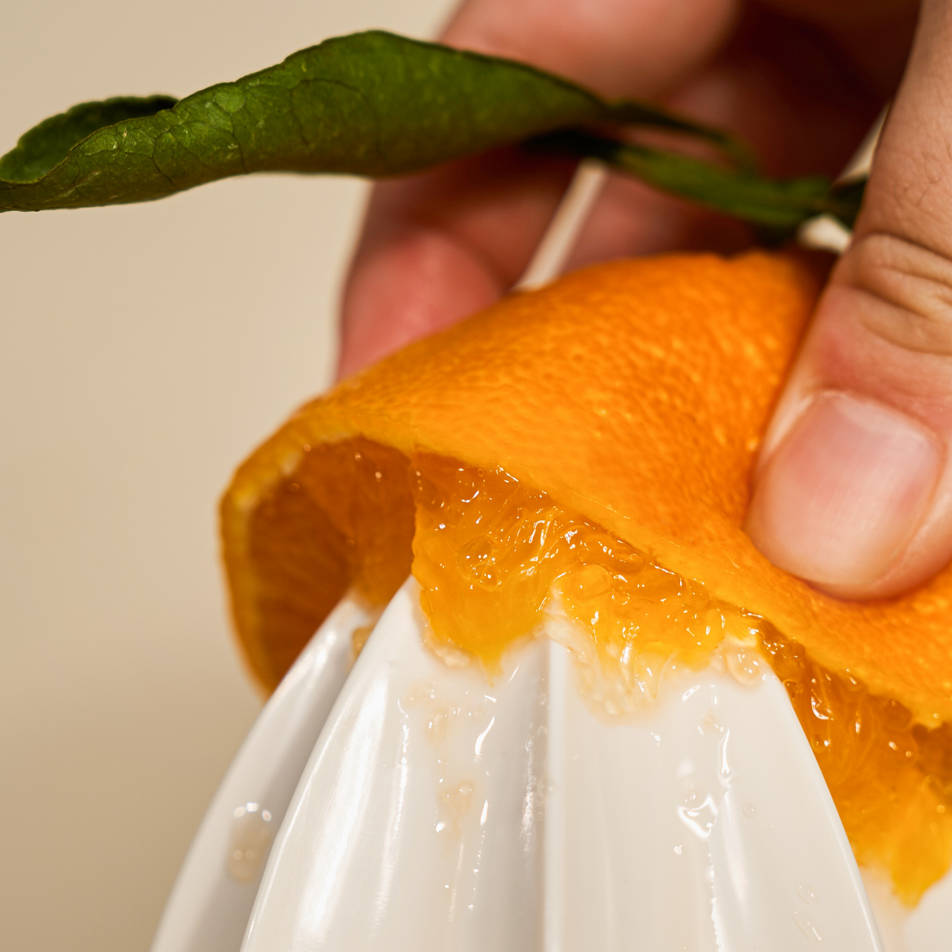 Centella 3% PHA Gentle Liquid Exfoliating Serum - Haruharu Wonder US